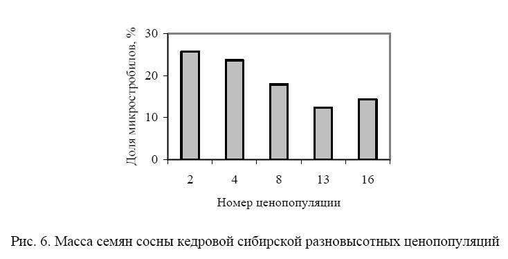 вели9.png