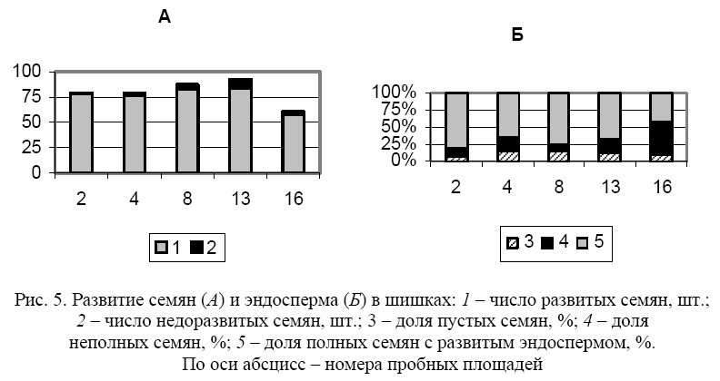 вели8.png