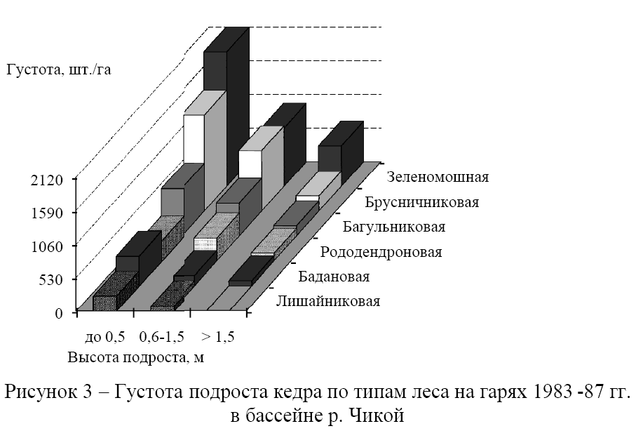 зах3.png