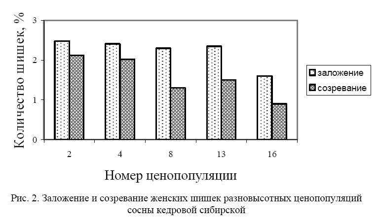 вели5.png