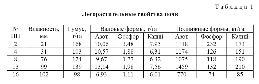 вели1.png
