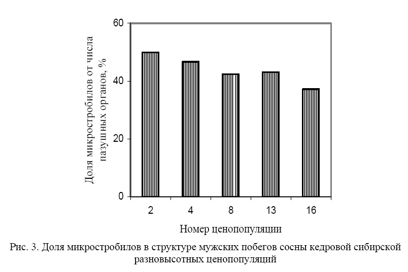вели6.png