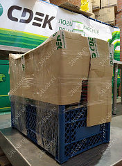 Саженцы, кедр сибирский, 10-20 см, 5 лет, P9 купить в Красноярске
